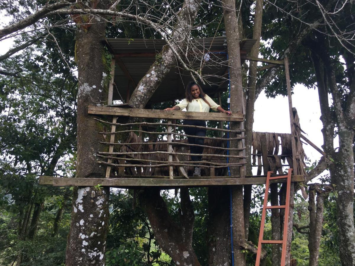 Mai Kilimanjaro Home Stay Marangu Esterno foto