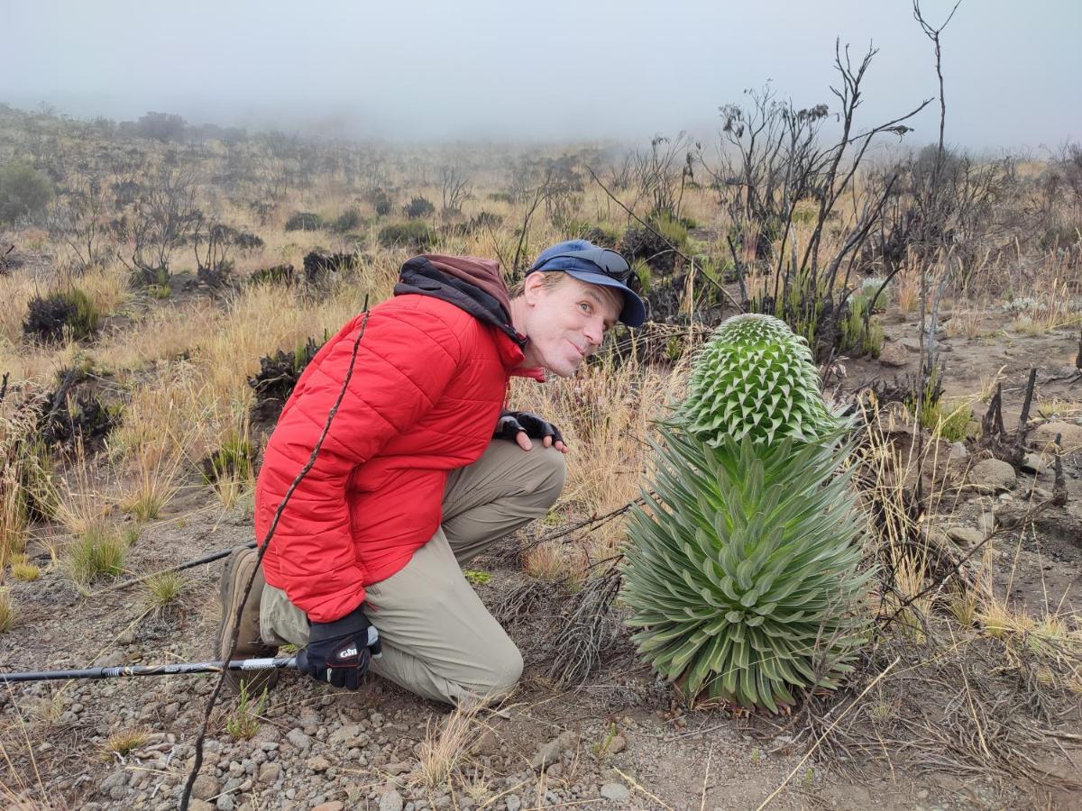 Mai Kilimanjaro Home Stay Marangu Esterno foto