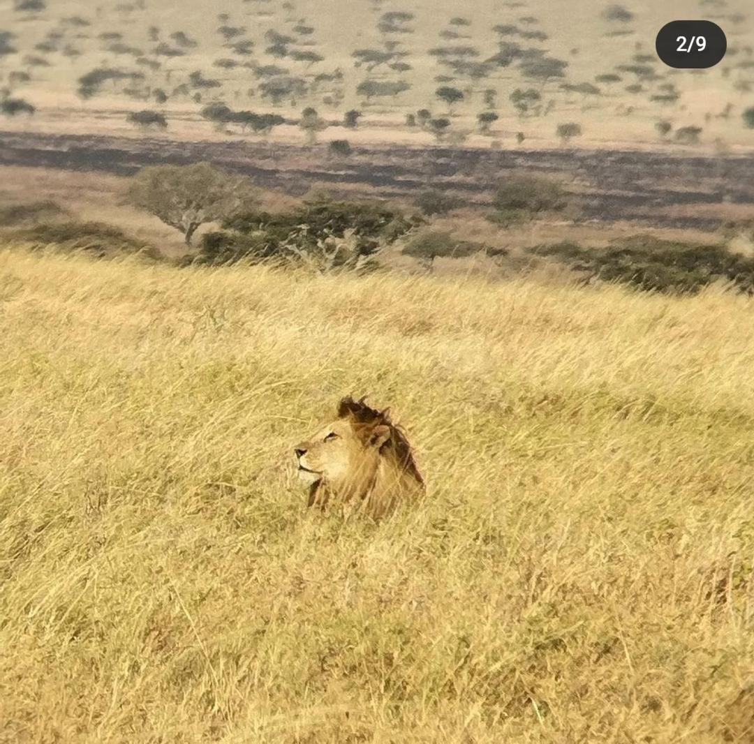 Mai Kilimanjaro Home Stay Marangu Esterno foto